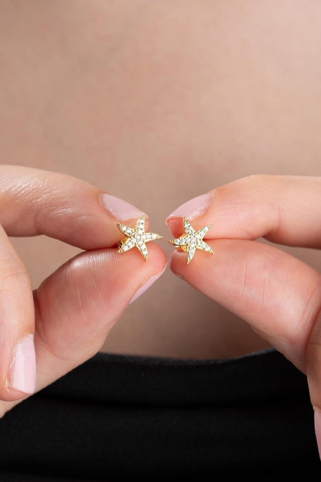 Heliophilia Silver Pendientes de Plata de Ley 925 con Recubrimiento de Oro y Circón